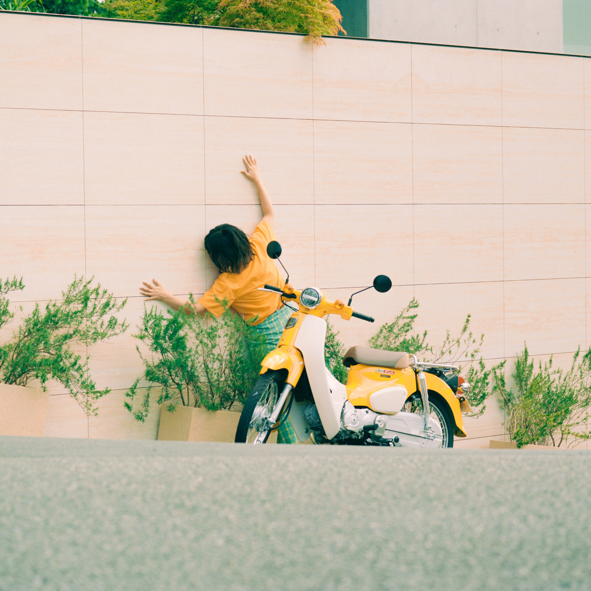 山崎あおい スウェット L シンガーソングライター わさび部 夏宵 まっさら